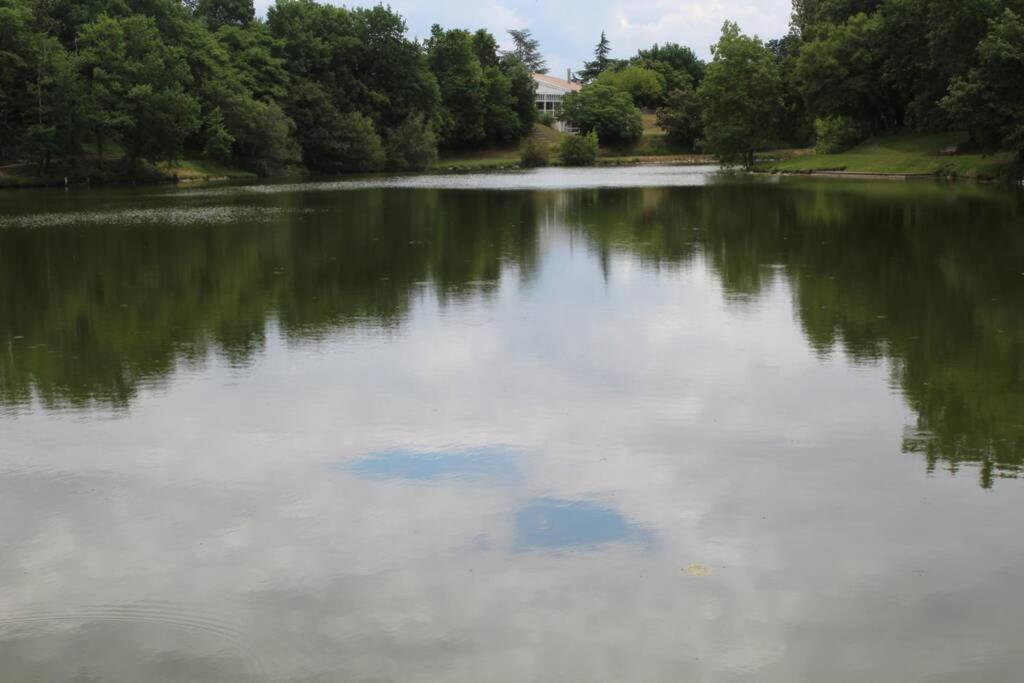 Residence Du Lac-Monflanquin Appartement Rdc Екстер'єр фото